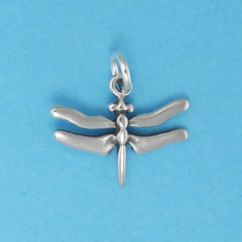 Dragonfly Charm