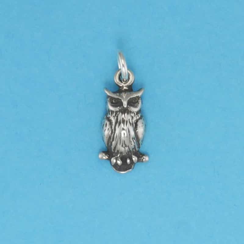 Great Horned Owl Charm