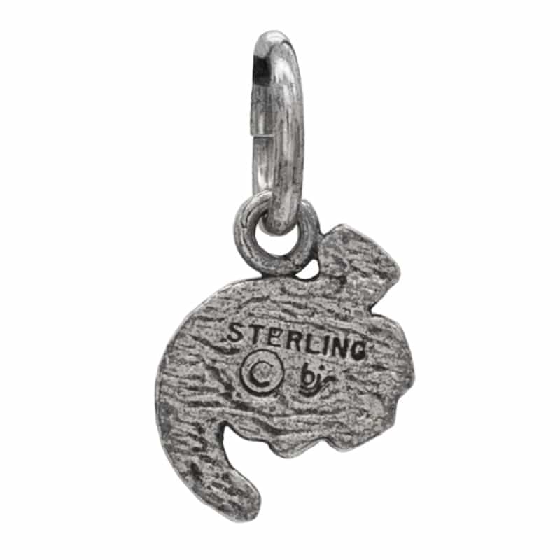 Steel Allomancer Charm