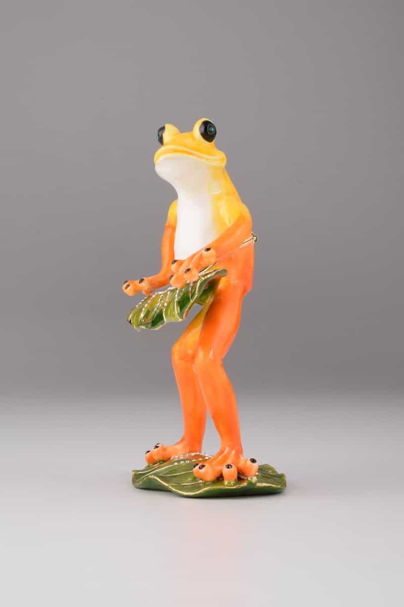 Frog Playing On Keyboards